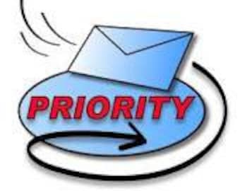 U.S. Priority mail upgrade