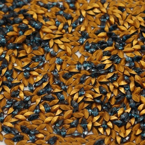 May include: Close-up of a collection of marquise-shaped rhinestones. The rhinestones are a mix of gold and teal blue, creating a contrasting color palette. The shapes are scattered, suggesting they are loose and ready for use in crafts or jewelry making.