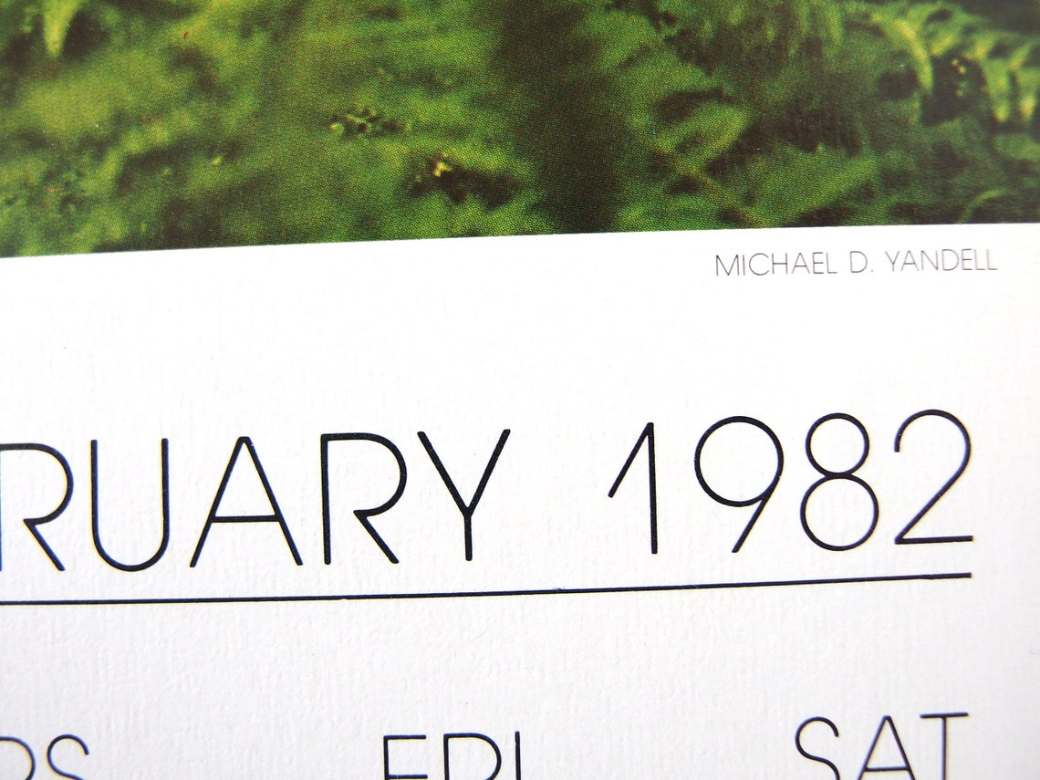 Vintage February 1982 Calendar Page Hoh River Rain Forest Etsy