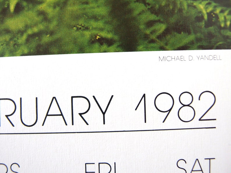 Vintage February 1982 Calendar Page Hoh River Rain Forest Etsy Vintage February 1982 Calendar Page Hoh River Rain Forest Etsy