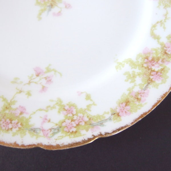 5 Vintage Charles Field Haviland Limoges GDA Bread and Butter Plates with Pink Flowers, Blue Branch