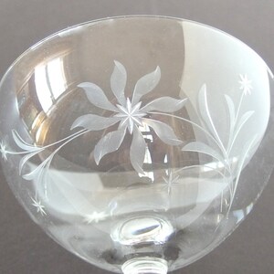 May include: A clear glass champagne coupe with an etched floral design. The design features a central flower with five petals and leaves extending from the flower.