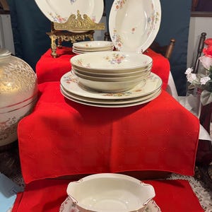 ピルケンハマー (Pirkenhammer) 陶磁器 食器セット Pirkenhammer Dinner Plates - Etsy