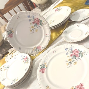 Winterling Roslau Baviera Alemania Patrón Primavera miesen