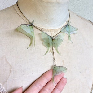 Luna Moth Necklace, Butterfly Necklace, Organza Butterfly, Sage Green Butterfly, Silk Butterfly, Actias Luna Necklace, Statement Necklace Antique Bronze