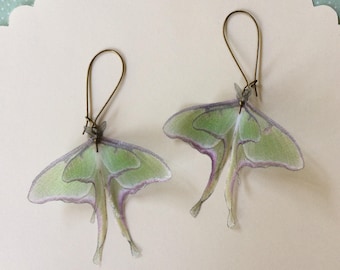 May include: A pair of earrings featuring a green and purple moth design. The moths are translucent and have a delicate, almost ethereal appearance. The earrings are made with a brass wire and have a simple, elegant design.
