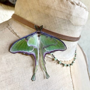Luna Moth Choker, Luna Moth Necklace, Genuine Taupe Distressed Leather, Crystals Chain, Cotton Butterfly, Silk Butterfly, Organza Butterfly