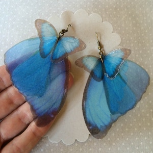 Butterfly Earrings, Morpho Butterfly, Wings Earrings, Silk Organza, Silk Butterfly Earrings, Organza Butterfly Earrings, Blue Butterfly image 1