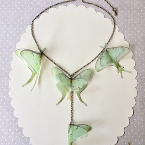 Luna Moth Necklace, Butterfly Necklace, Organza Butterfly, Sage Green Butterfly, Silk Butterfly, Actias Luna Necklace, Statement Necklace image 3