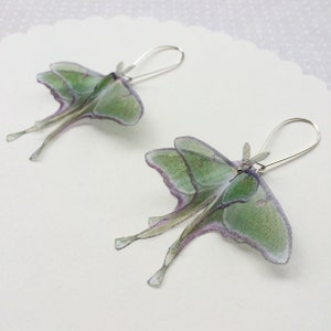 Luna Moth Earrings in Silk Organza, Actias Luna, Butterfly Earrings Silver