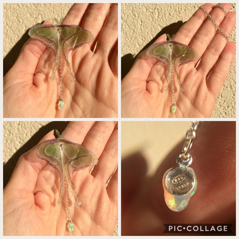 •GUIDE• labradorite + luna moth + gold necklace (18