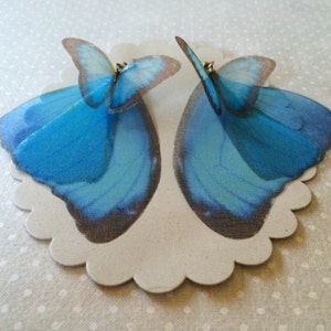 Butterfly Earrings, Morpho Butterfly, Wings Earrings, Silk Organza, Silk Butterfly Earrings, Organza Butterfly Earrings, Blue Butterfly image 3