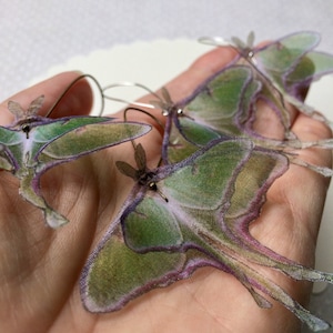 Luna Moth Earrings in Silk Organza, Actias Luna, Butterfly Earrings image 10