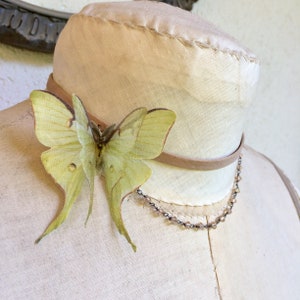 Luna Moth Choker, Luna Moth Necklace, Genuine Taupe Distressed Leather, Crystals Chain, Cotton and Silk Organza, Organza Butterfly