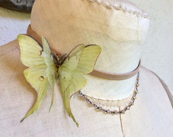 Luna Moth Choker, Luna Moth Necklace, Genuine Taupe Distressed Leather, Crystals Chain, Cotton and Silk Organza, Organza Butterfly