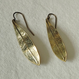 Pendientes hoja de olivo latón  tamaño medio gancho
