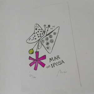 Mariposa/ Butterfly