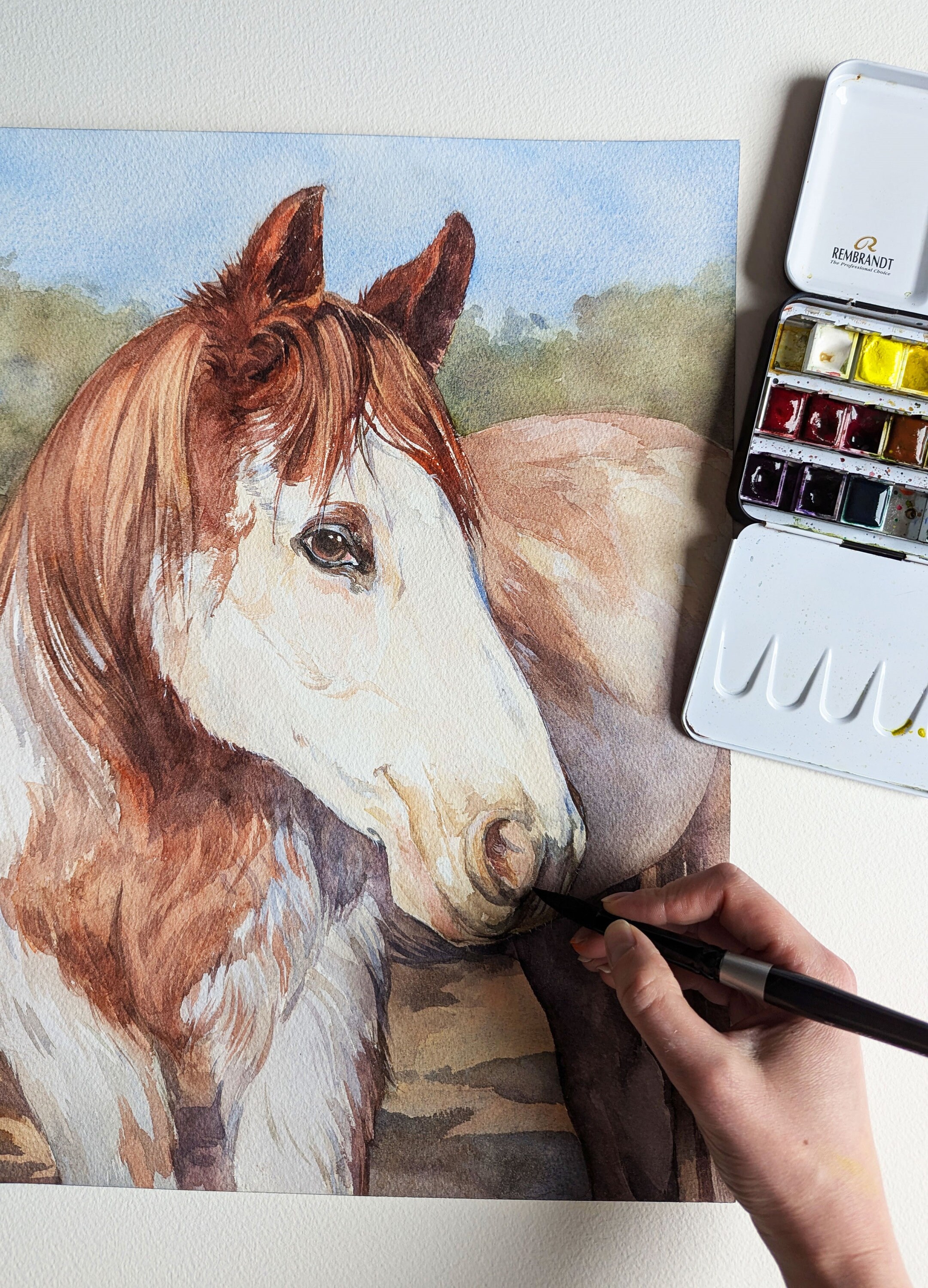 Original Watercolor Horse Painting A3 Size, Brown and White Smiling ...