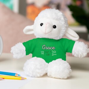 Personalized Baby Keepsake Stuffed Animal, Baby Stat&#39;s, Custom Name Gift, Gift for New Parents, Baby Shower Present, Birth Announcements