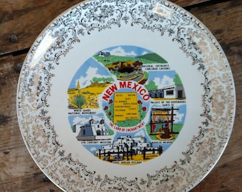 Commemorative State of New Mexico Plate (19C)