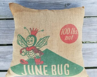 Rustic Junebug Burlap Pillow