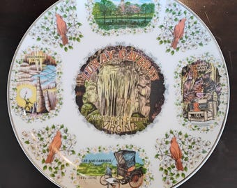 Lurray Caverns Virginia Vintage Souvenir Plate W1.176