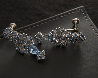 Vintage Blue Crystal Screw Back Earrings