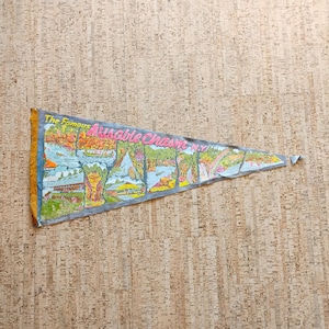May include: A vintage pennant with the text "The Famous Ausable Chasm N.Y." features colourful illustrations of landscapes and a rainbow. The pennant has a blue border and is displayed on a textured, light brown surface.