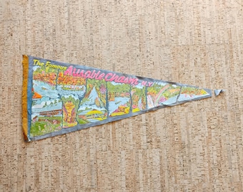 The Famous Ausable Chasm NY Vintage Souvenir Pennant