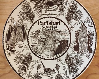 Carlsbad Caverns National Park Souvenir Plate W1.74