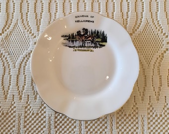 Souvenir of Kelligrews Newfoundland Plate W1.116