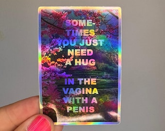 Sometimes You Just Need a Hug Holographic Sticker – frecher Adult Humor Aufkleber, Vagina Penis Spruch, Funny Sticker, Geschenk