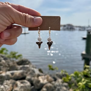 シヴァ貝とサメの歯のアクセントが付いた、ハンドメイドのゴールドフィルド防水ハギーイヤリング - サンシャイン