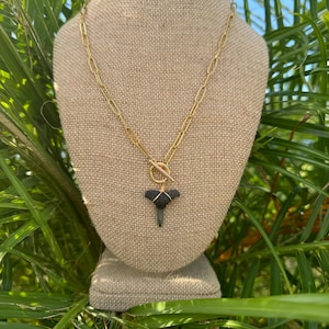 Gold Filled Paperclip Toggle Clasp Shark Tooth Pendant Chain | Unique Bohemian Style Jewelry | Shark Tooth | Lemon Shark