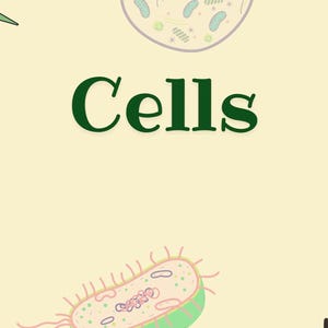 May include: Illustration of various cell types in a biology-themed design. The word "Cells" is in a dark green font. The cells are in different shapes and colors, including orange, green, and yellow, against a light yellow background.