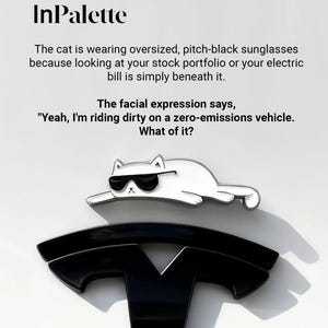 May include: A white cat wearing black sunglasses rests on a black Tesla logo. The image includes the text "InPalette" and a quote about riding in a zero-emissions vehicle.