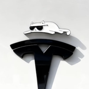 May include: A white cat wearing sunglasses is positioned above a black Tesla logo on a white surface. The text "InPalette" is in the upper left corner. The cat is a fun, decorative element.