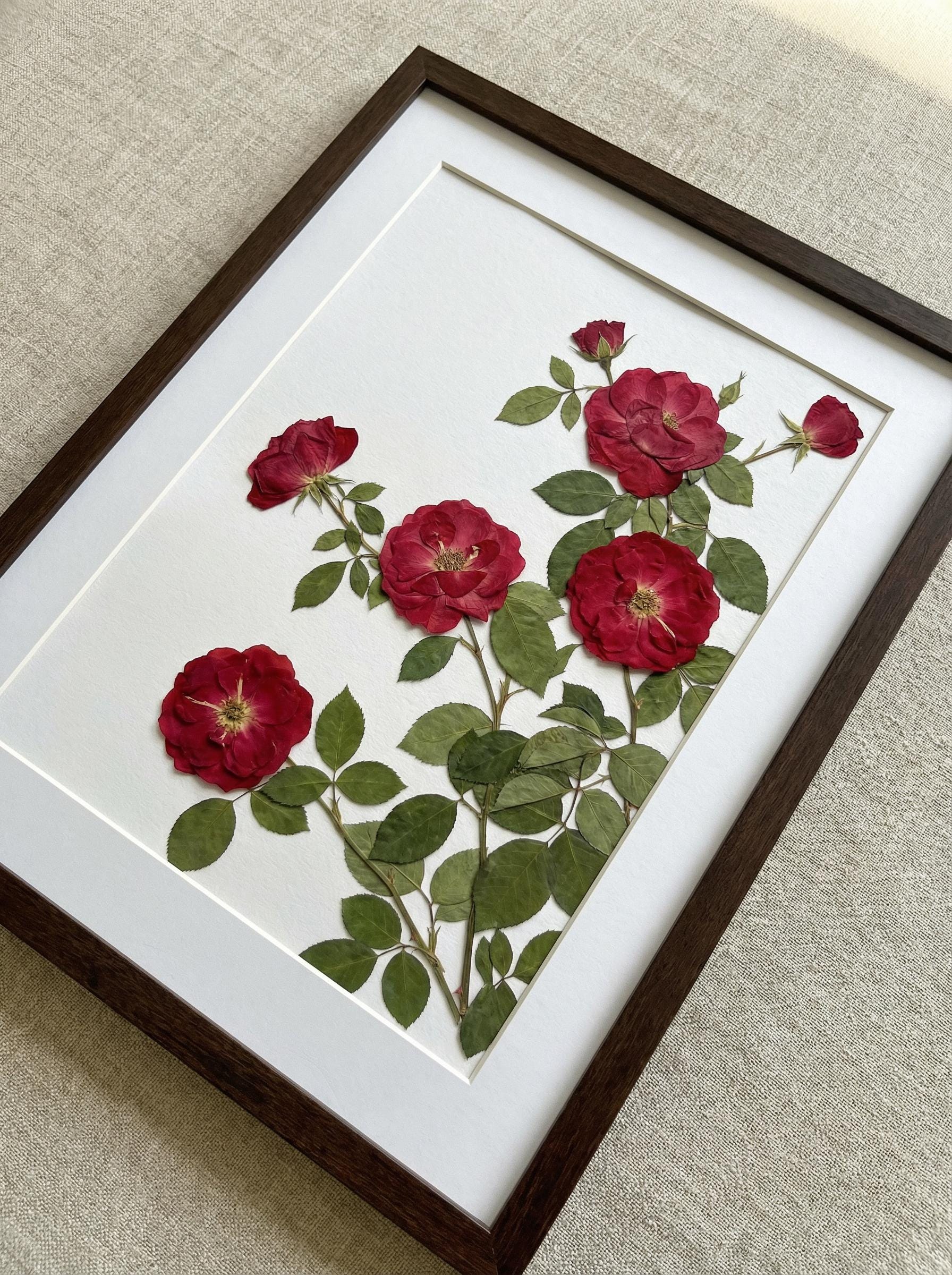 Real Pressed Red Rose Art Framed Botanical Wall Decor Handmade Crimson ...