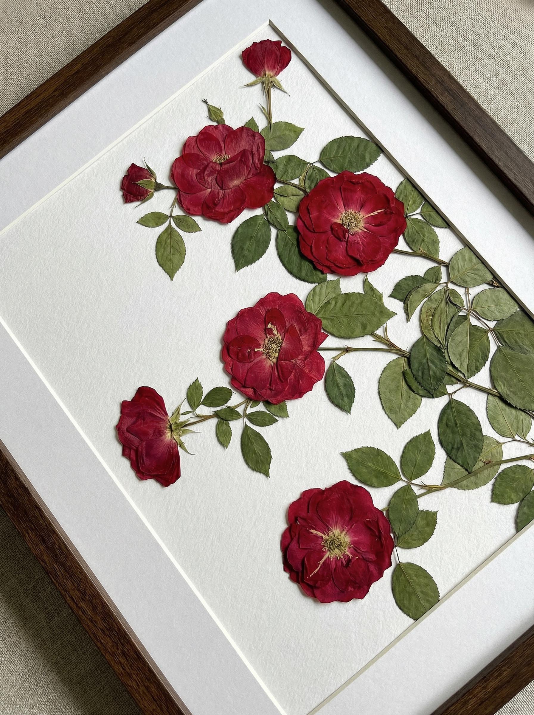 Real Pressed Red Rose Art Framed Botanical Wall Decor Handmade Crimson ...