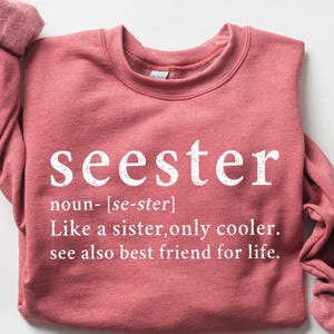 Cute Seester Definition Shirt, Gifts for Sister, Best Sister Gift, Funny Saying Shirt, Sister Noun Shirt, Sister Sweatshirt, Sarcastic Shirt image 1
