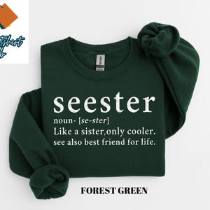 Cute Seester Definition Shirt, Gifts for Sister, Best Sister Gift, Funny Saying Shirt, Sister Noun Shirt, Sister Sweatshirt, Sarcastic Shirt image 8
