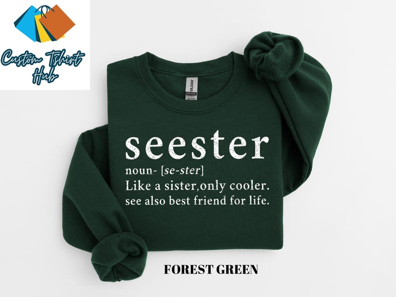 Cute Seester Definition Shirt, Gifts for Sister, Best Sister Gift, Funny Saying Shirt, Sister Noun Shirt, Sister Sweatshirt, Sarcastic Shirt image 8