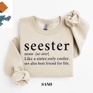 Cute Seester Definition Shirt, Gifts for Sister, Best Sister Gift, Funny Saying Shirt, Sister Noun Shirt, Sister Sweatshirt, Sarcastic Shirt image 3
