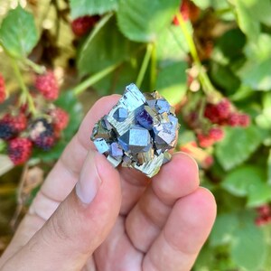 Cubic Galena With Golden Pyrite Specimen - From Bulgaria