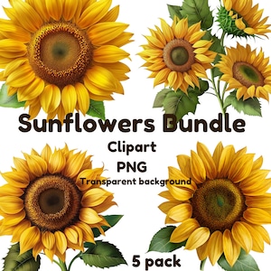 Sunflower clipart, Sunflower png Sunflower bundle, Floral clipart, Flower clipart, Sunflower sublimation png file, Commercial use