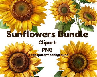 Zonnebloem clipart, zonnebloem png zonnebloem bundel, bloemen clipart, bloem clipart, zonnebloem sublimatie png-bestand, commercieel gebruik
