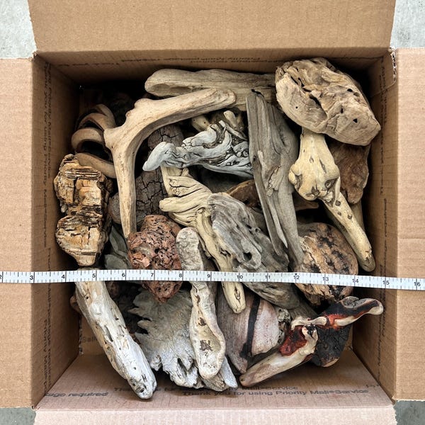 Bulk Natural Driftwood Medium Size Chunks | 25-Piece Curated Box