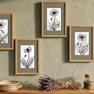 Blume, Line Art Kunstdruck, Minimalistisch X Ray Poster , Transparente Blumen Zeichnung, Skandi Wanddeko, Digitaler Download