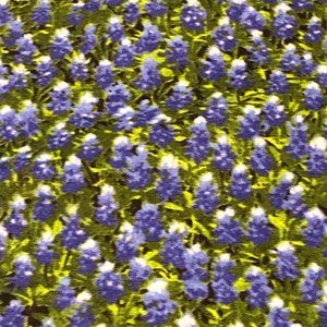 May include: A close-up of a fabric with a repeating pattern of bluebonnet flowers on a green background.