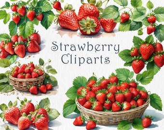 Strawberry watercolor cliparts download.10 png, jpg files of strawberry cliparts. Nice strawberry watercolor illustrations, digital design.